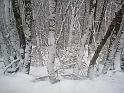 photos de dÇneigement 178